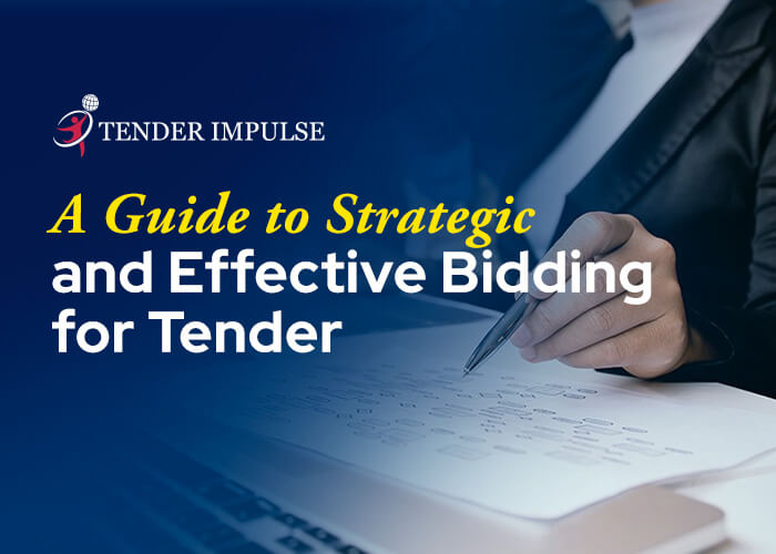 Bid Wisely: A Guide to Strategic and Effective Bidding for Tender