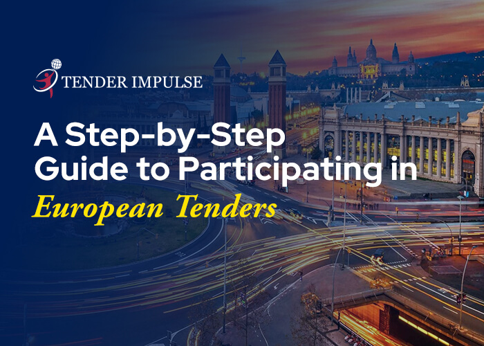 A Step-by-Step Guide to Participating in European Tenders