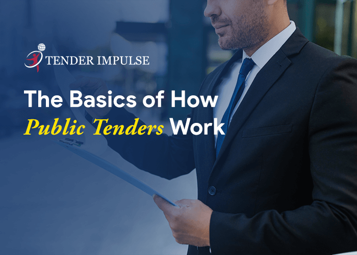 The Basics of How Public Tenders Work