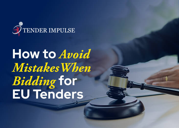 How to Avoid Mistakes When Bidding for EU Tenders
