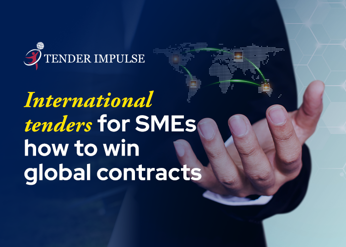 International Tenders for SMEs: How Small Businesses Can Successfully Compete for Cross-Border Government Contracts