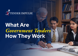 Government-Tenders-And-How-They-Work