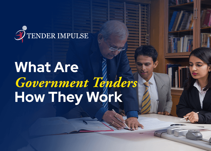 What Are Government Tenders And How They Work