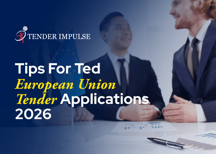 Tips For TED European Union Tender Applications 2026